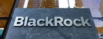 BlackRock, Hollandalı çip üreticisi Axelera AI’ye 250 milyon doların üzerinde yatırım yapıyor